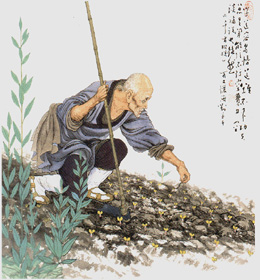 佛教-谁是禅师