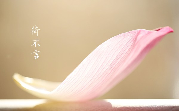 对过去认命，对未来积极