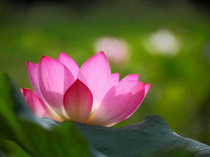 佛教-中年失子之痛--感爱别离之苦