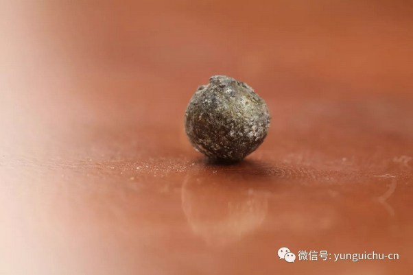 云居山-悲心无尽 行愿弥坚——一诚长老珍贵舍利撷影
