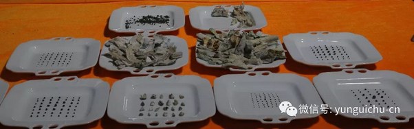 云居山-悲心无尽 行愿弥坚——一诚长老珍贵舍利撷影