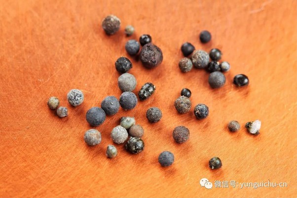 云居山-悲心无尽 行愿弥坚——一诚长老珍贵舍利撷影