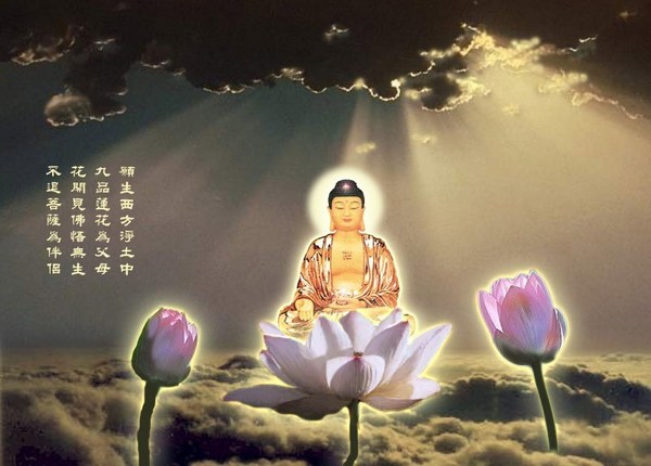 菩提心-修学净土难相应的原因何在
