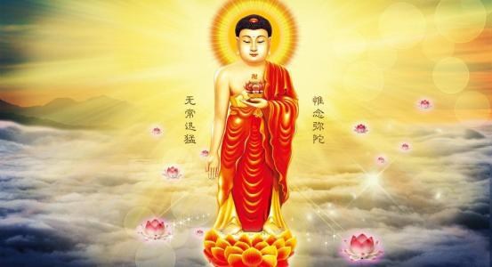 佛教-福报的水养智慧的鱼
