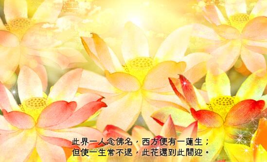 临终念佛与开示如何把握时机