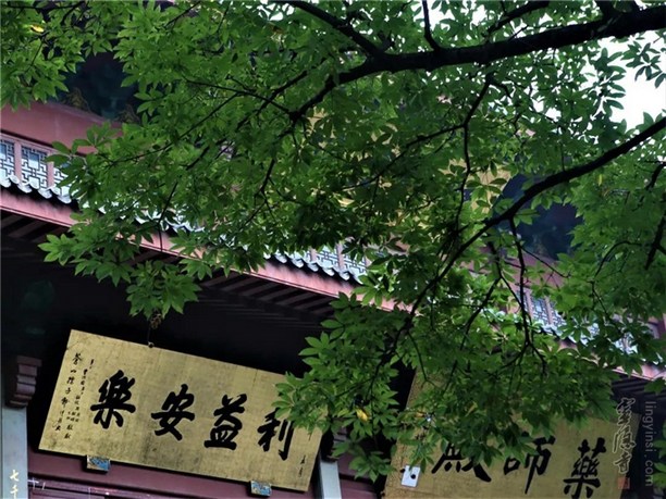 佛教-超荐父母，当发真实之心