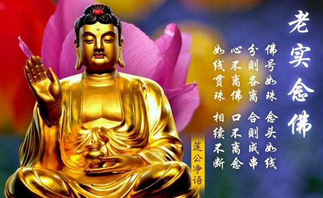 极乐世界-学佛可以不求生极乐世界吗