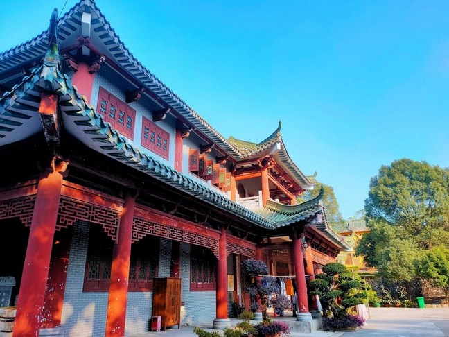 净土宗-净界法师：净土教观学苑开示