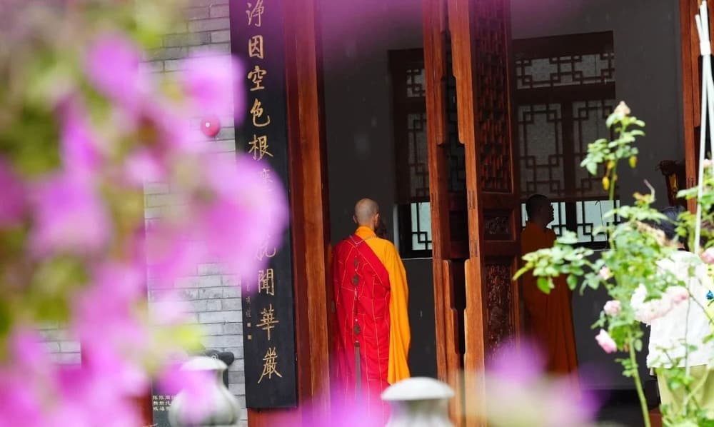 �����Ĺ���