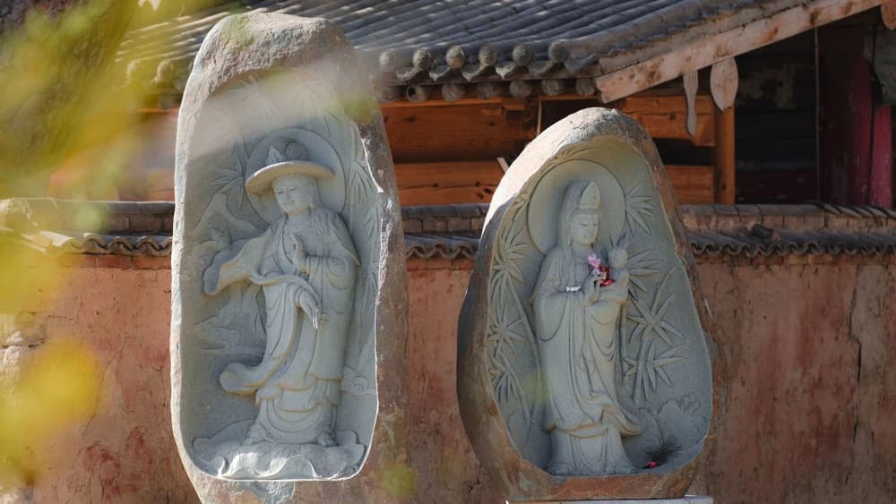 ����Ȱ�������