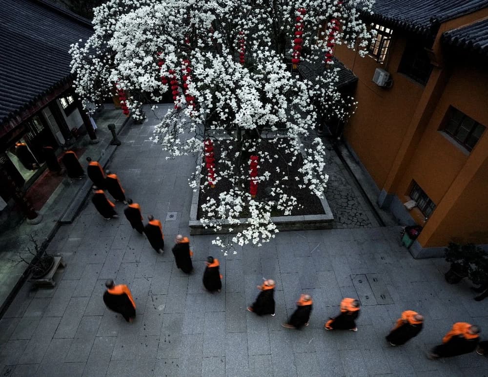 һ����ʥ�Դ���������һ���ǻ۽Դ�������