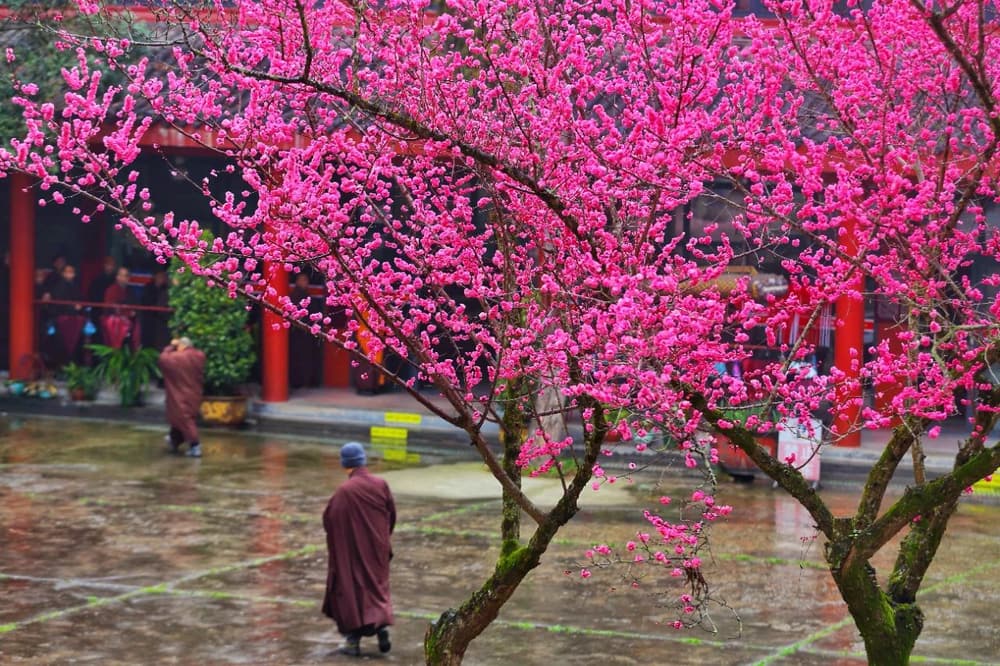 ��Ϊ�������¾��˲�����ʵ���ܵý���