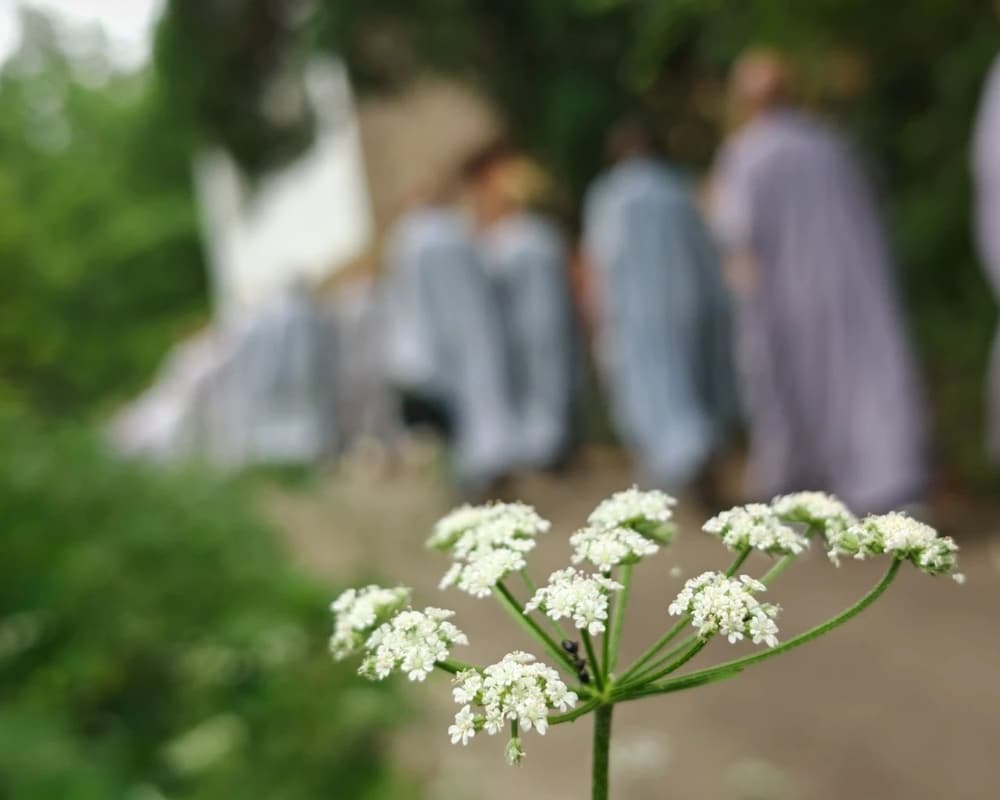 ������߸�û�д��������������ʲô���