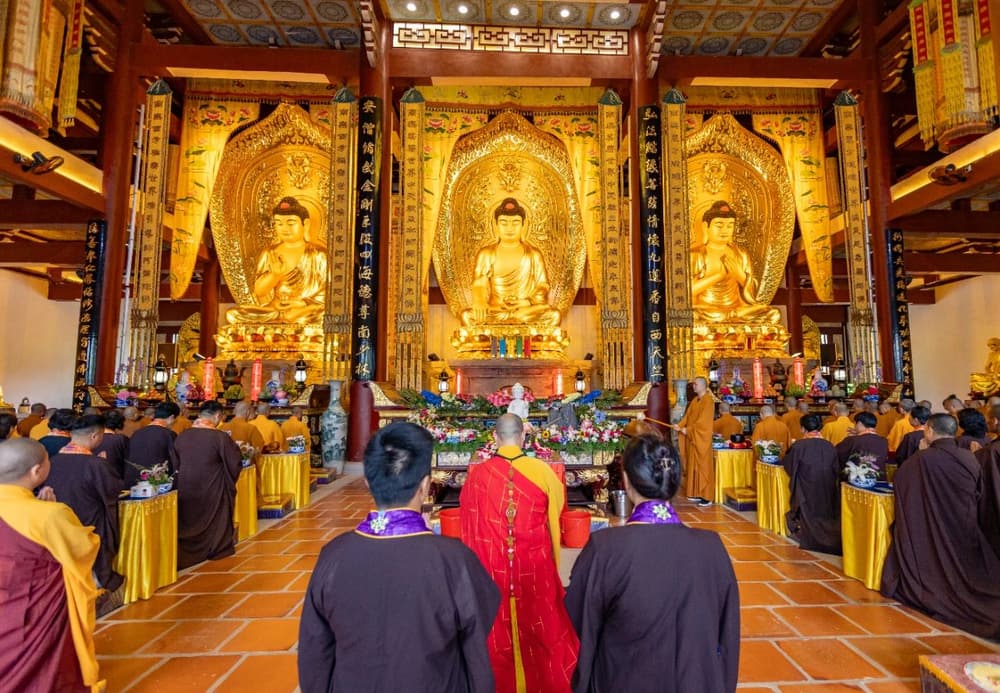 ÿһ�ε��ŷ���������������������Ƶ�����