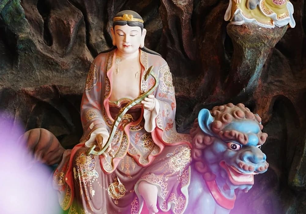 ������������ղ�����ߵ�