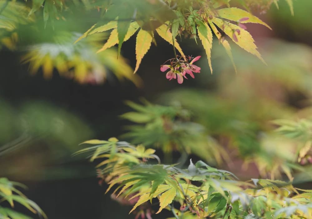 ��ҵ��������������