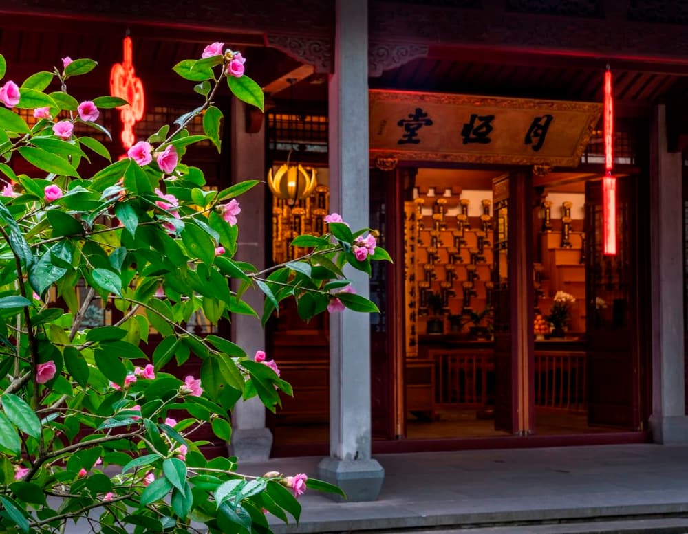 ʩ�ҹ�ɮ������õ�