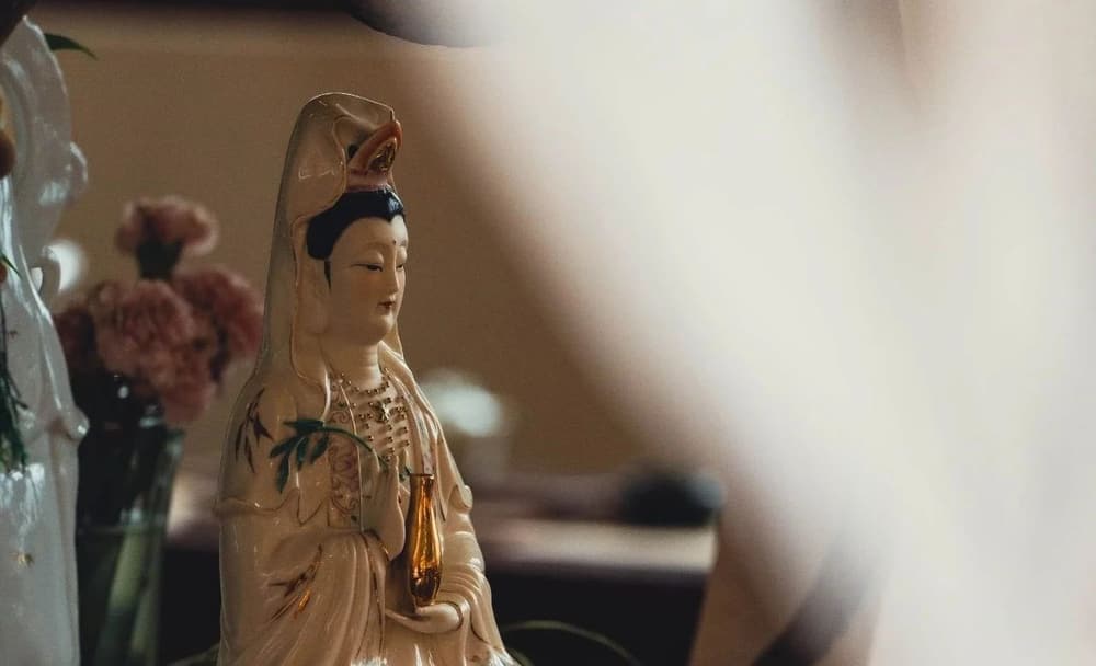 ��ѧ�������У������������