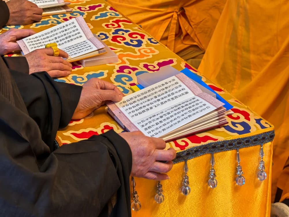 ��̨�ڵ���ʱ�˽�