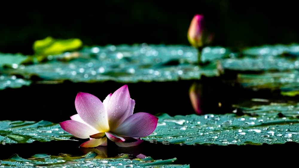 ���˲��ԣ��������־��յĹ���