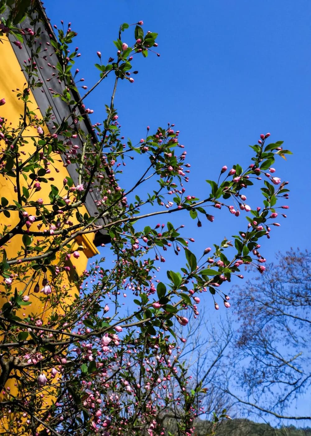 ѧ������Ҫ