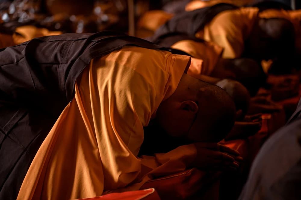 ������̳����ʮ���ǻ�����