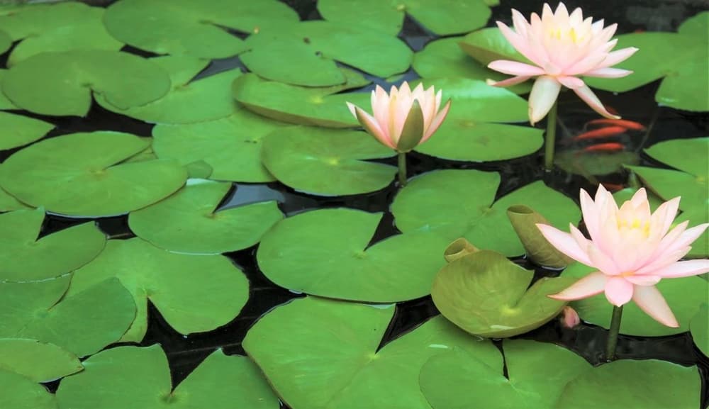 ������һ��Ҫ�иֹǵ���־