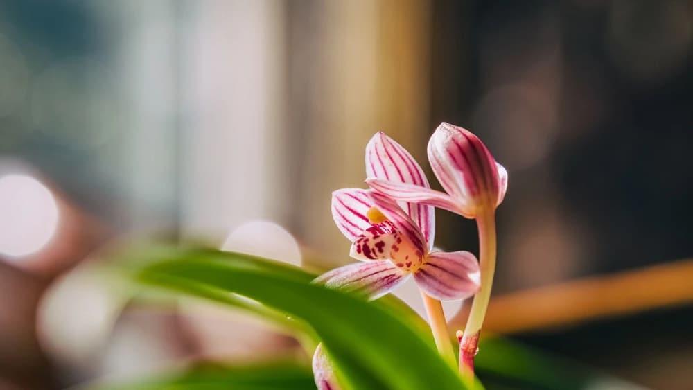 Ϊ�ζ��ε�����ʶҪ�ӵ�����ʶ����