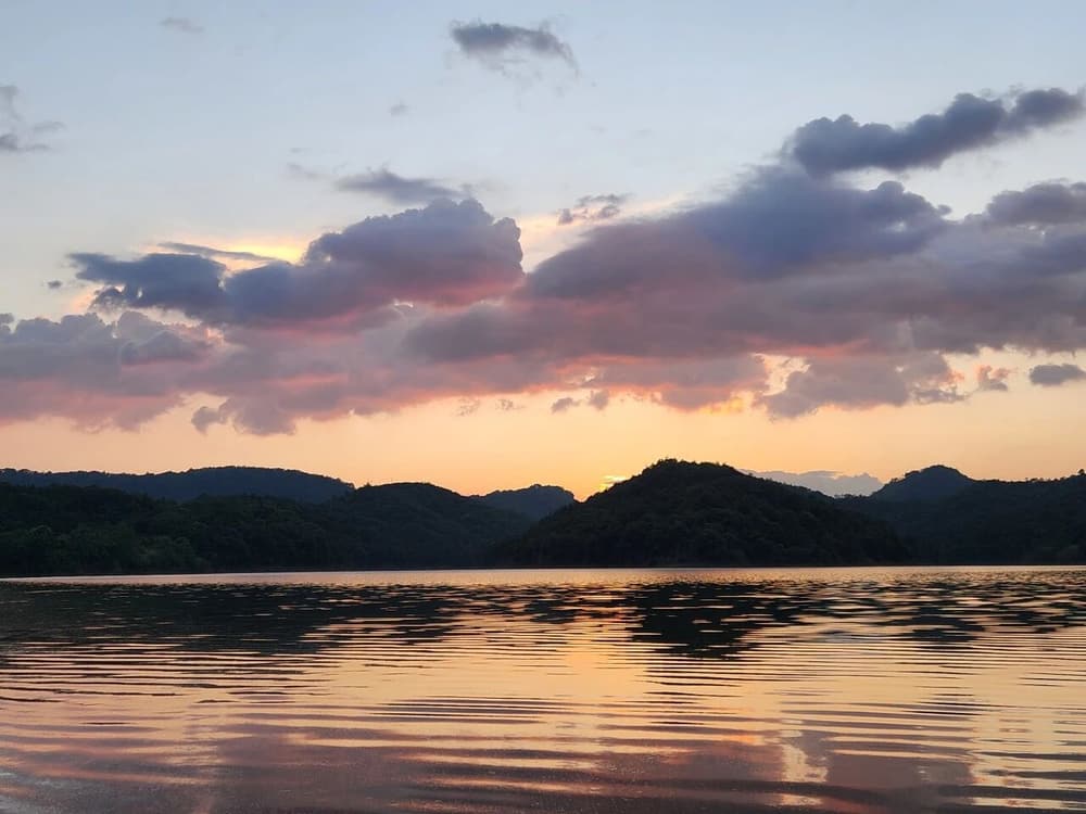 ֻһ������Ը�����������������