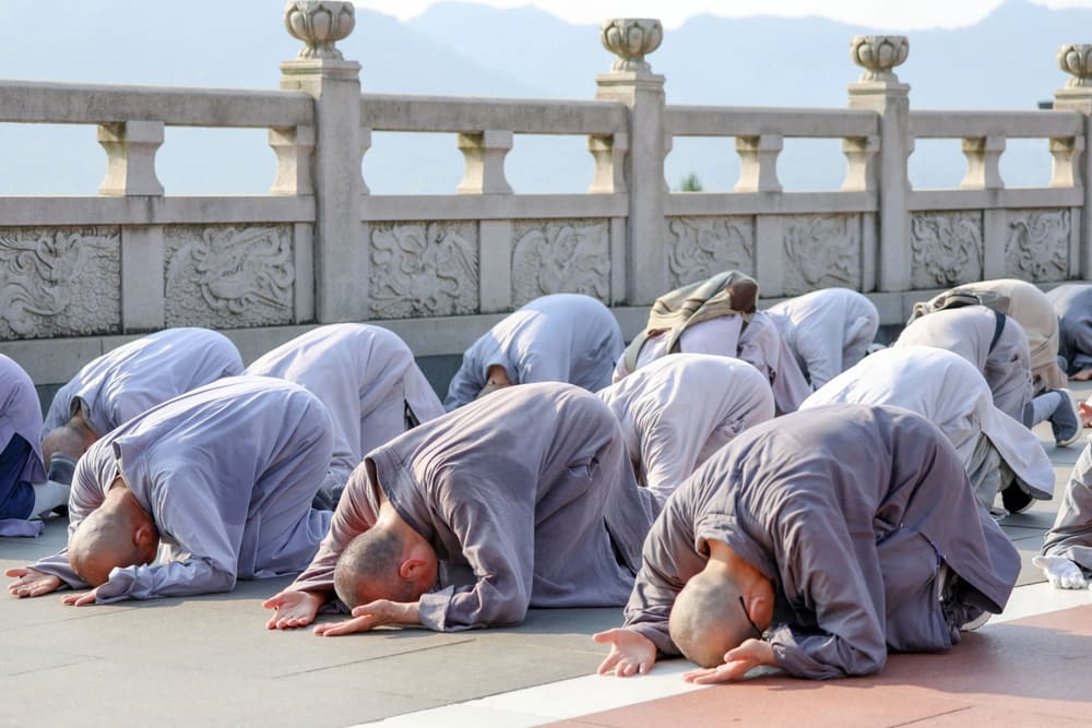 ����������������Զ����������