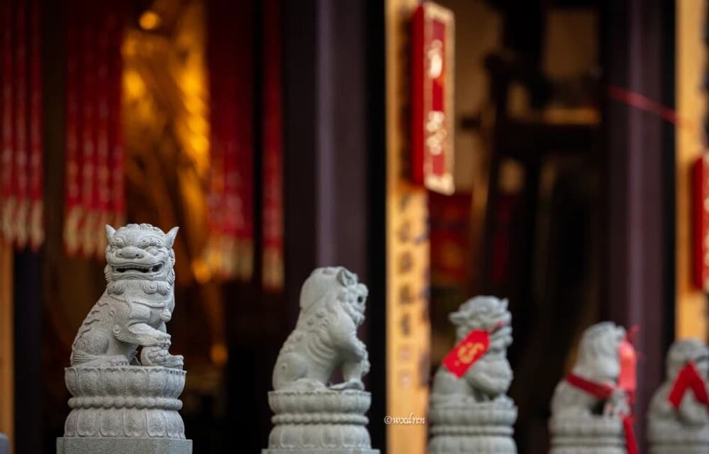 ���������������࣬��������������������