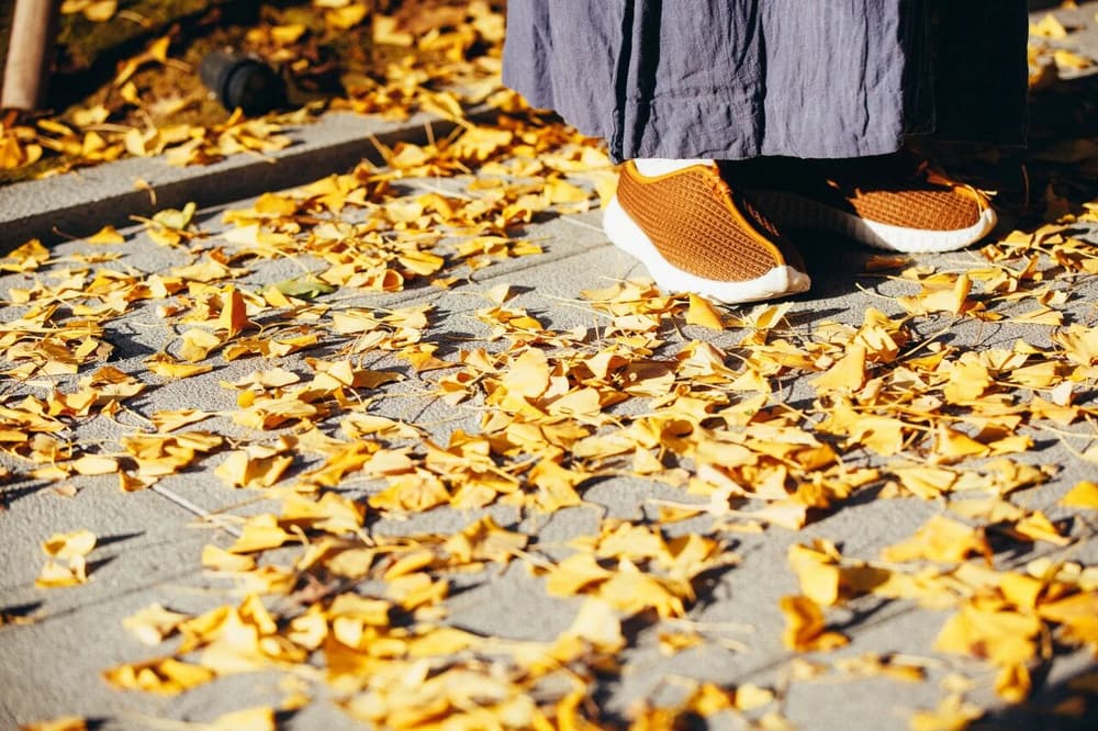 ���ԵĹ�����ʽ