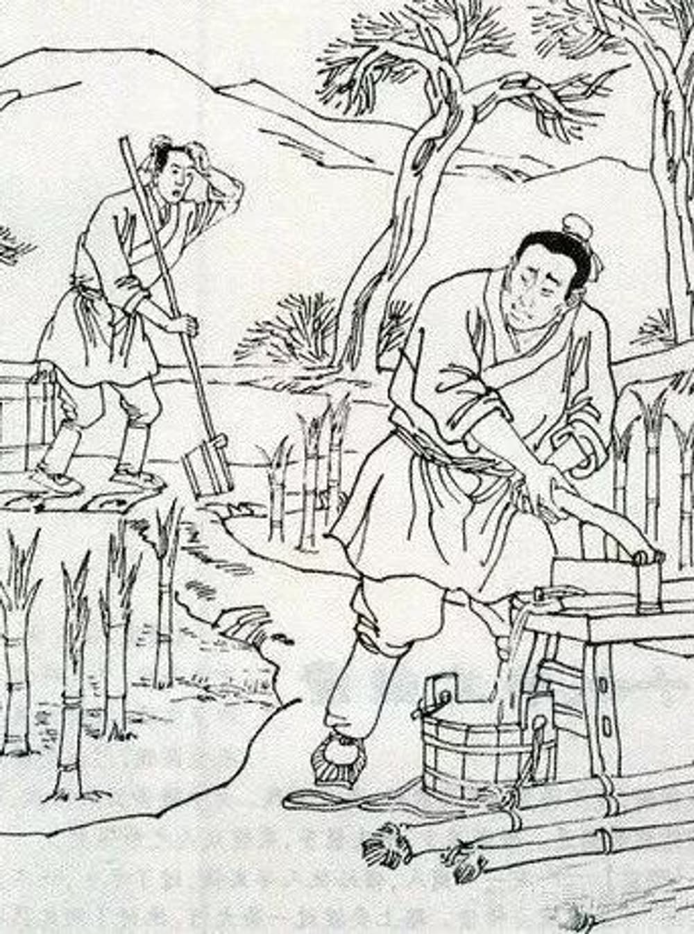 �����������������