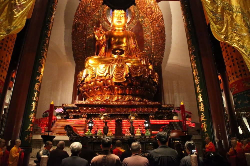 ������ܴ�ʦ����Ժ��������