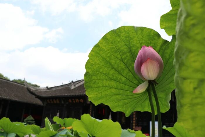 ɱ�����ɲ���Ҳ