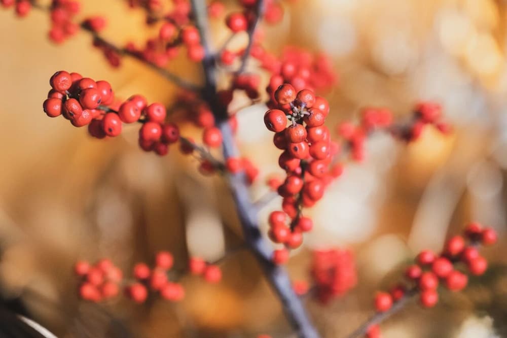 ����������Ƿǣ�Ӧ����ô��