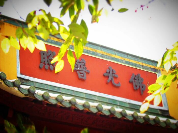 ����ɮ��Ϊ�γ�Ϊ����