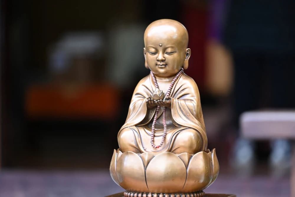 ��������ֳ����ֹ���