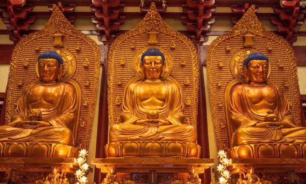 �����ص���ڡ����ƺͺ�ʶ����������