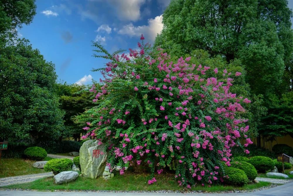 ������λ����Դ���ˣ��α�����������