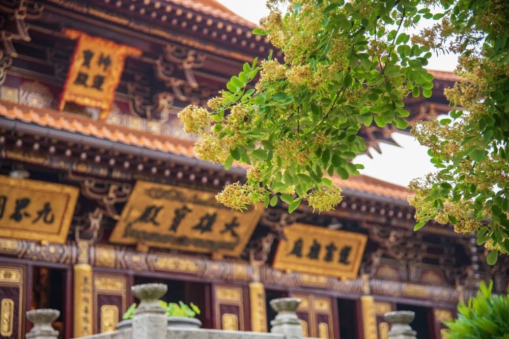 �β��ǳ���Ҫ������