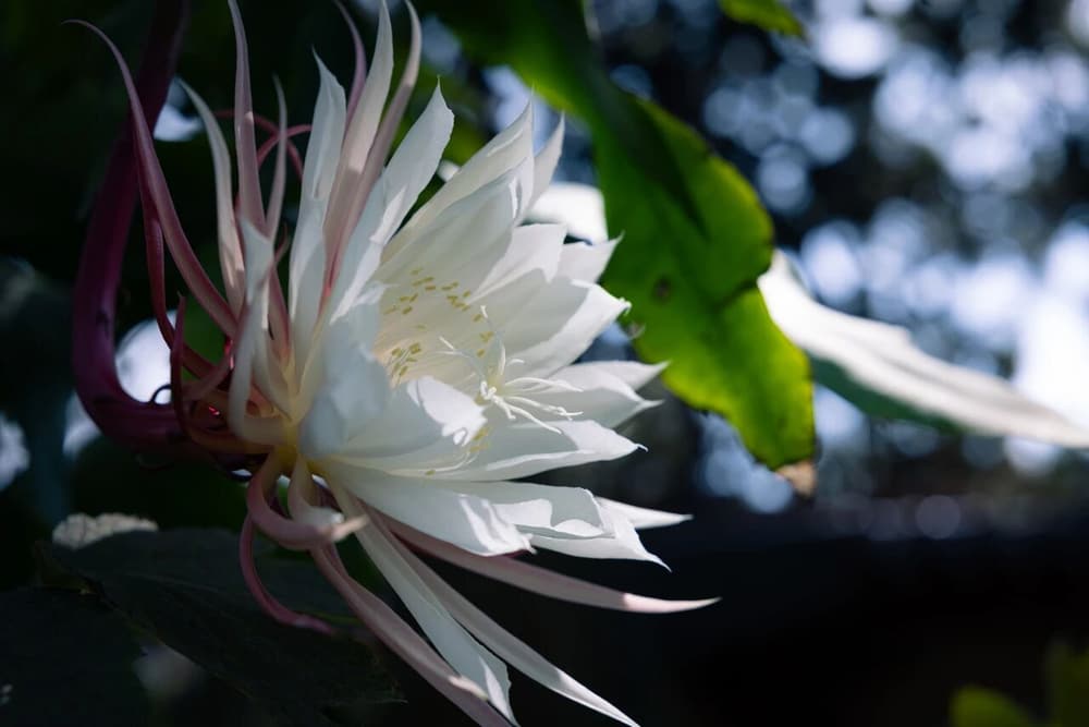 Ϊʲô����ϲ��������֮լ����