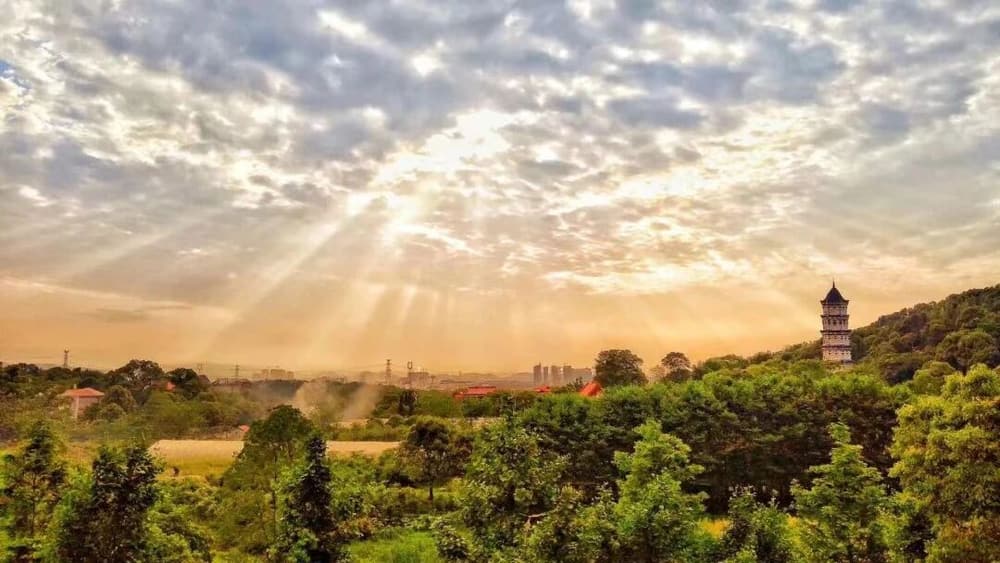 ��Ʒ�������˶����������ַ�