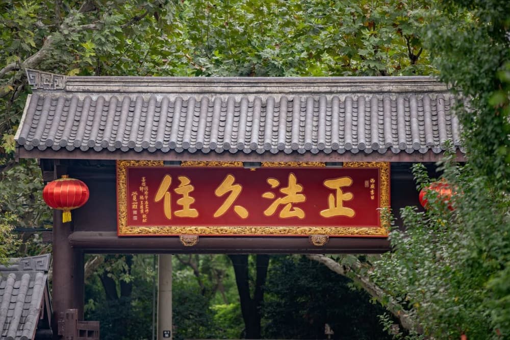 ������Ը�߲�����������ȥ