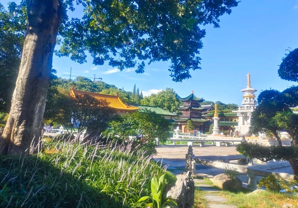 ���ƶ�����������