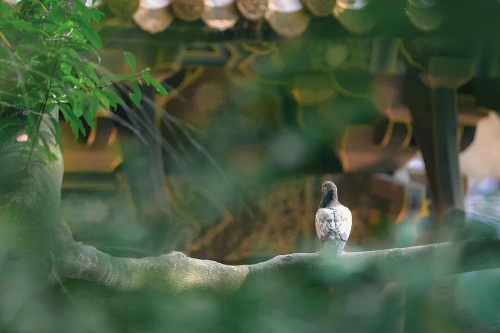 ��������������Ŀ��������ֹ�ʧ