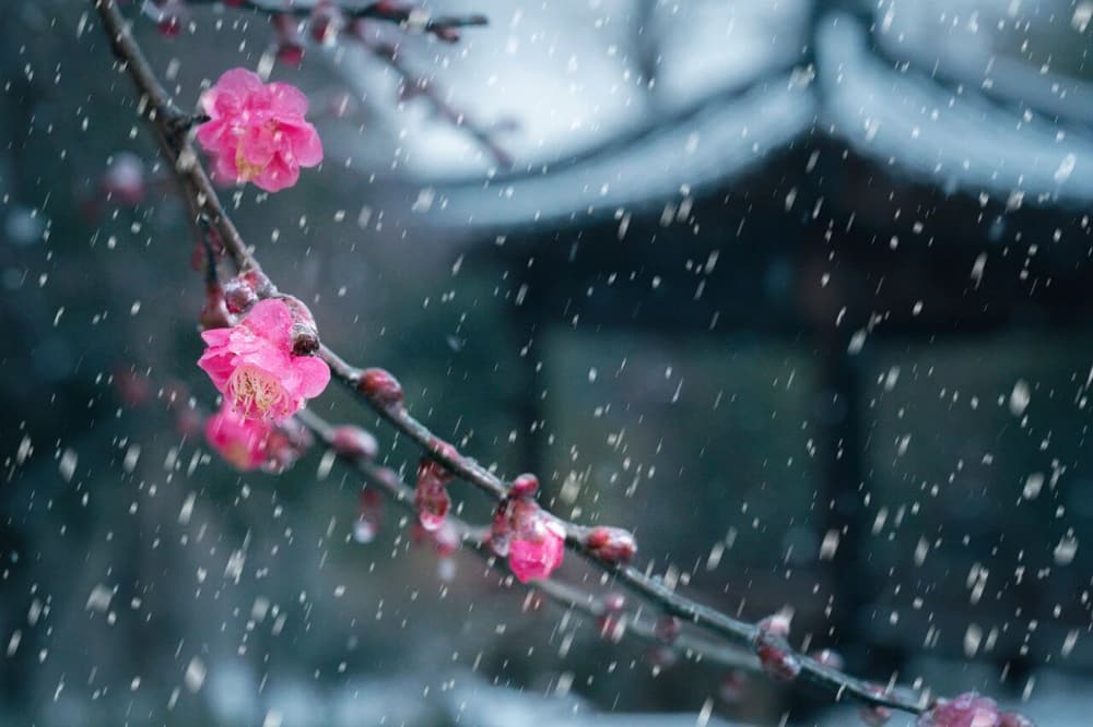 ��λ���˵ĵõ���Ե