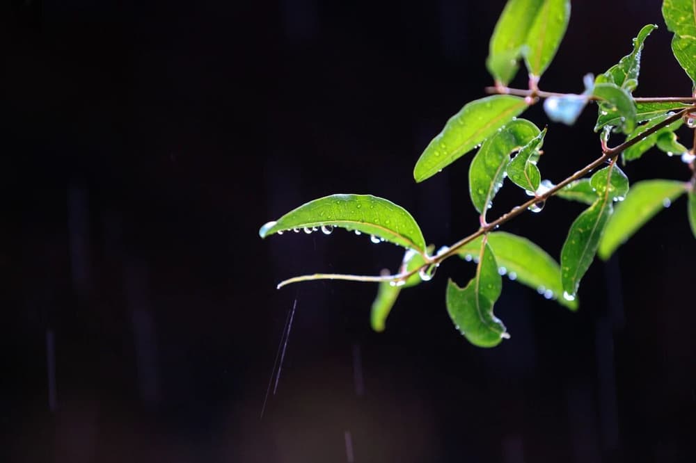 �Ĺ���й̫��������ʹ��˵�����ʶ�Ͳ�����