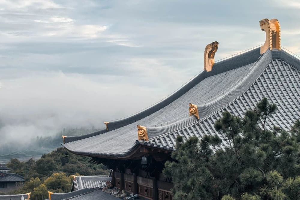 ���ѵ��г��������������Ҳ���ϰ�