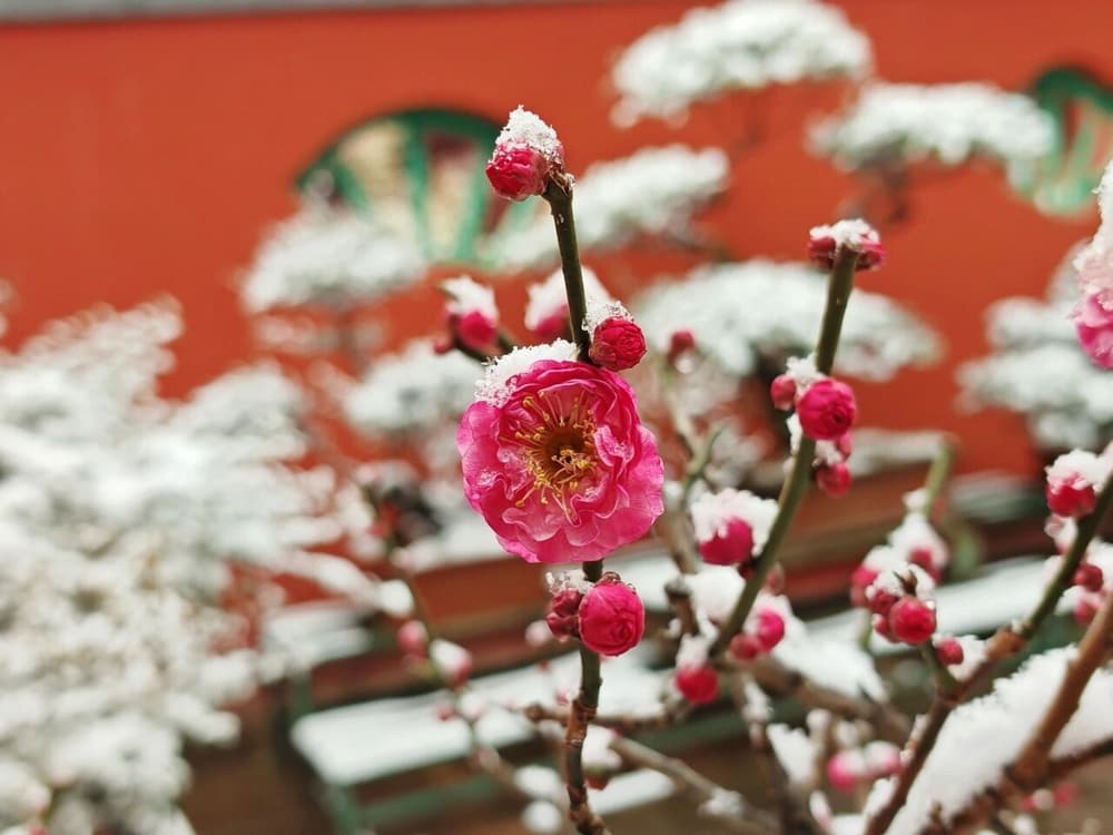 �����֡�������ҵ������������